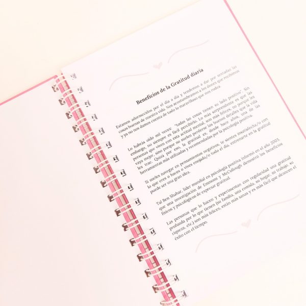 GIFT BOX GRATITUD - Imagen 6
